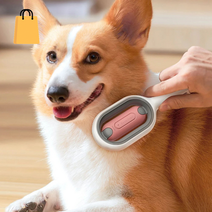 Cat Hair Brush with Water, Sticky Brush for Cats, 4 In-1 Cat Grooming Brush Creative Update Cat Dog Grooming Comb with Water Tank Double-Sided Hair Removal Brush Kitten Pet Supplies Accessories